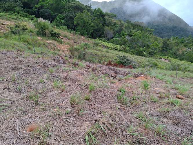 TERRENO TITULADO EN VENTA EN CHICÁ/CAMPANA, CHAME | PANAMÁ OESTE | 500 M² | $35,000 NEGOCIABLE FRENTE A LA CARRETERA Bp - Imagen 8