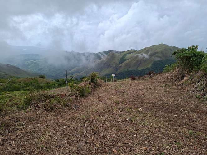 TERRENO TITULADO EN VENTA EN CHICÁ/CAMPANA, CHAME | PANAMÁ OESTE | 500 M² | $35,000 NEGOCIABLE FRENTE A LA CARRETERA Bp - Imagen 2