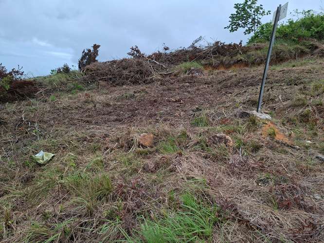 TERRENO TITULADO EN VENTA EN CHICÁ/CAMPANA, CHAME | PANAMÁ OESTE | 500 M² | $35,000 NEGOCIABLE FRENTE A LA CARRETERA Bp - Imagen 4