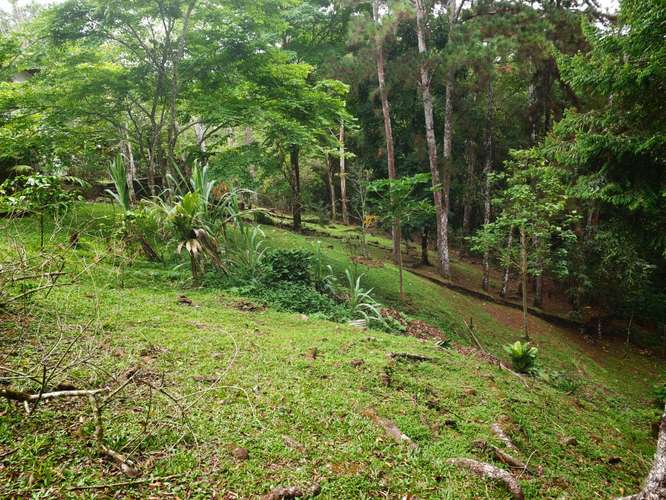 VENTA DE TERRENOS 1,200 mts2–LAS.NUBES CERRO AZUL - Imagen 9