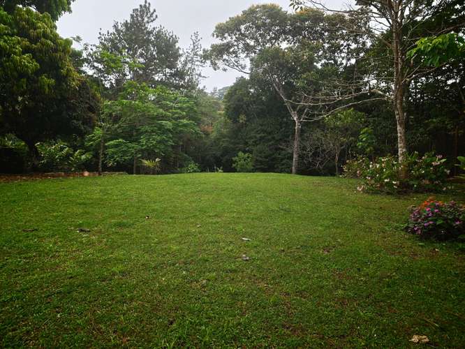 VENTA DE TERRENOS 1,200 mts2–LAS.NUBES CERRO AZUL - Imagen 3