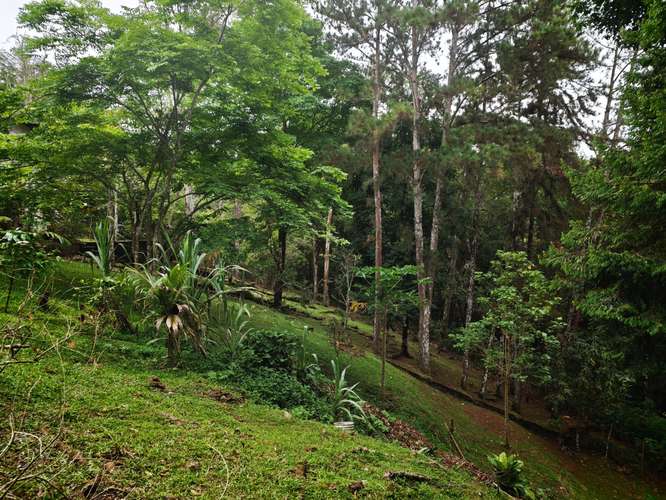VENTA DE TERRENOS 1,200 mts2–LAS.NUBES CERRO AZUL - Imagen 4