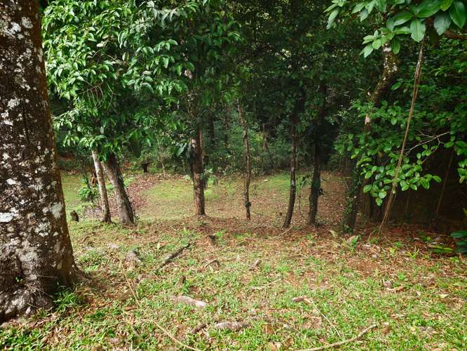 VENTA DE TERRENOS 1,200 mts2–LAS.NUBES CERRO AZUL - Imagen 8