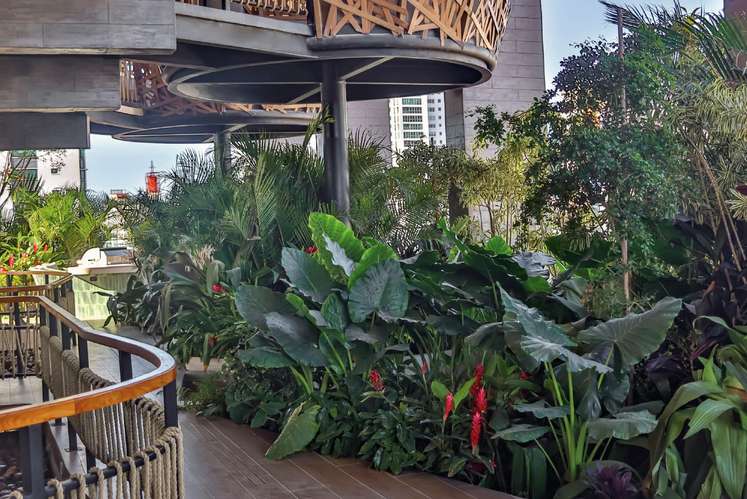 Apartamento en Coco del Mar, PH Dovle Selva con vista al mar y Licencia Hotelera