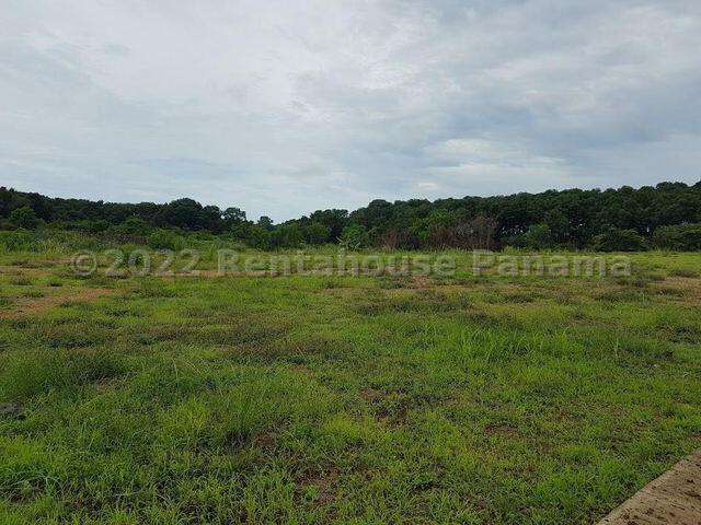 VENTA DE TERRENO EN TOCUMEN ESM - Imagen 6