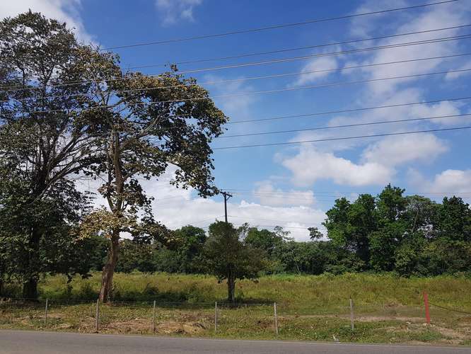 VENTA DE TERRENO EN TOCUMEN ESM - Imagen 9
