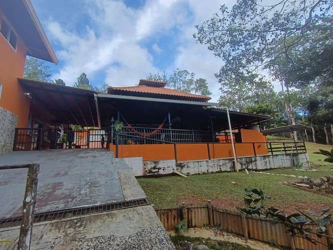 FINCA DE MONTAÑA EN LAS MINAS, HERRERA | 3 RESIDENCIAS | $275,000 - Imagen 9