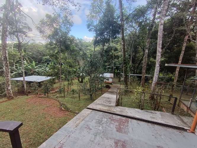 FINCA DE MONTAÑA EN LAS MINAS, HERRERA | 3 RESIDENCIAS | $275,000 - Imagen 4