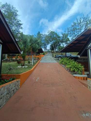 FINCA DE MONTAÑA EN LAS MINAS, HERRERA | 3 RESIDENCIAS | $275,000 - Imagen 19