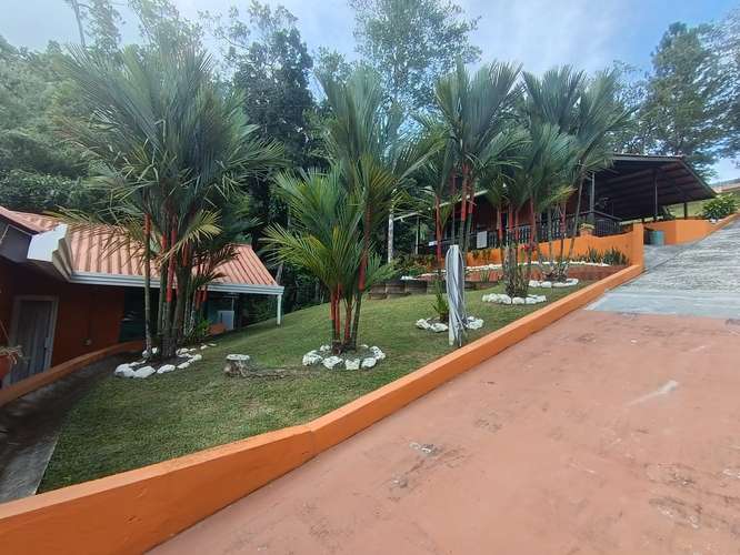 FINCA DE MONTAÑA EN LAS MINAS, HERRERA | 3 RESIDENCIAS | $275,000 - Imagen 17