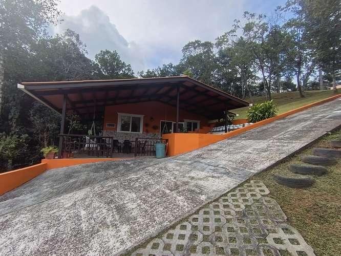 FINCA DE MONTAÑA EN LAS MINAS, HERRERA | 3 RESIDENCIAS | $275,000 - Imagen 2