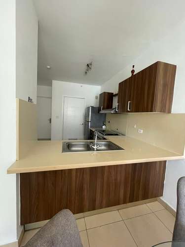 Magnifico Apartamento PH Oasis on the Bay Punta Pacífica San Francisco  - Amoblado - Imagen 4