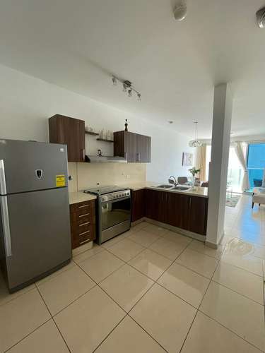 Magnifico Apartamento PH Oasis on the Bay Punta Pacífica San Francisco  - Amoblado - Imagen 13