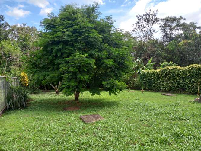 Se alquila casa grande sin muebles cercada San Pablo 350.00