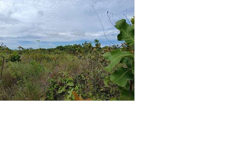 Sea Cliff. Terreno 2200mts servido $105,000.00neg - Imagen 6