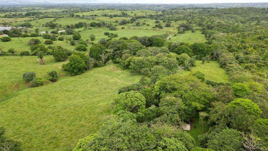 51 HECTÁREAS DE TERRENO! $3,571,715 - Imagen 3