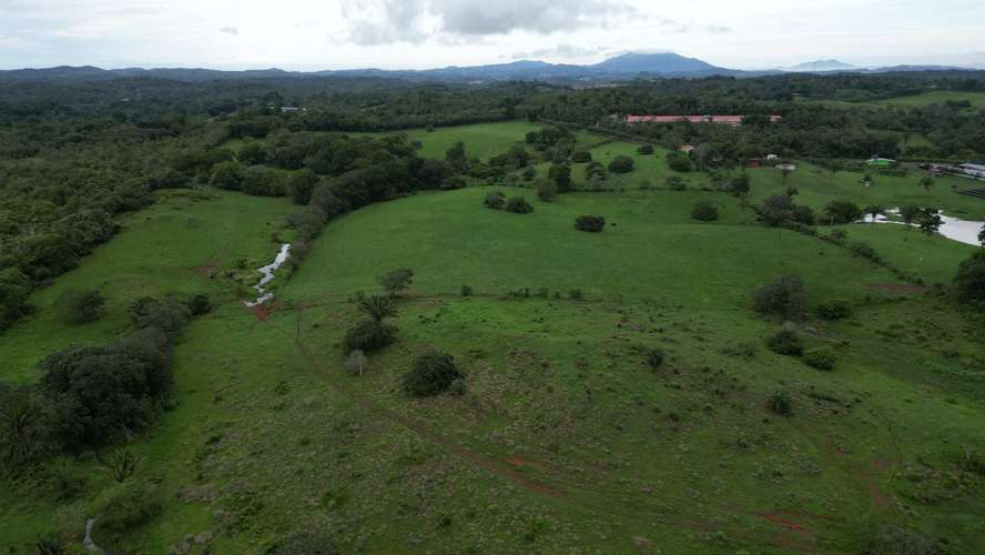 51 HECTÁREAS DE TERRENO! $3,571,715 - Imagen 19
