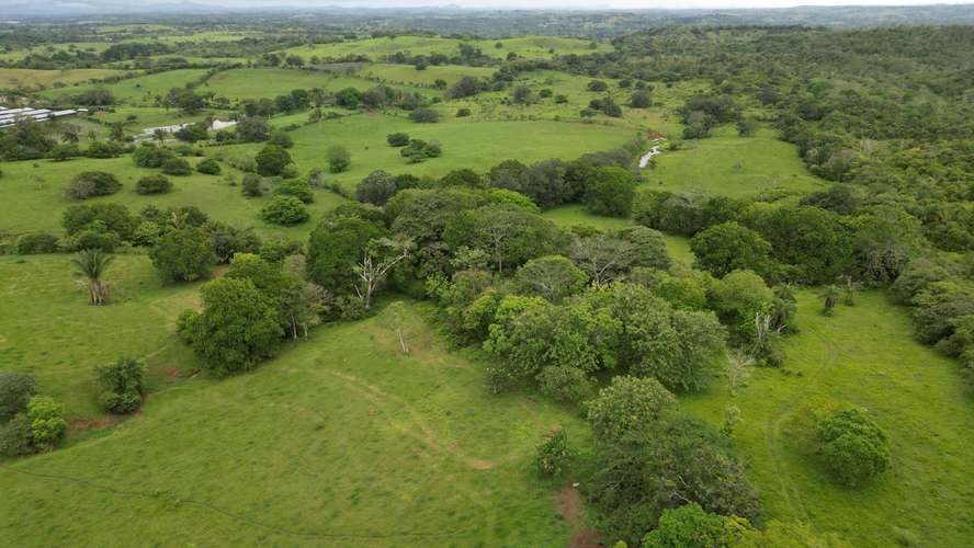 51 HECTÁREAS DE TERRENO! $3,571,715 - Imagen 8