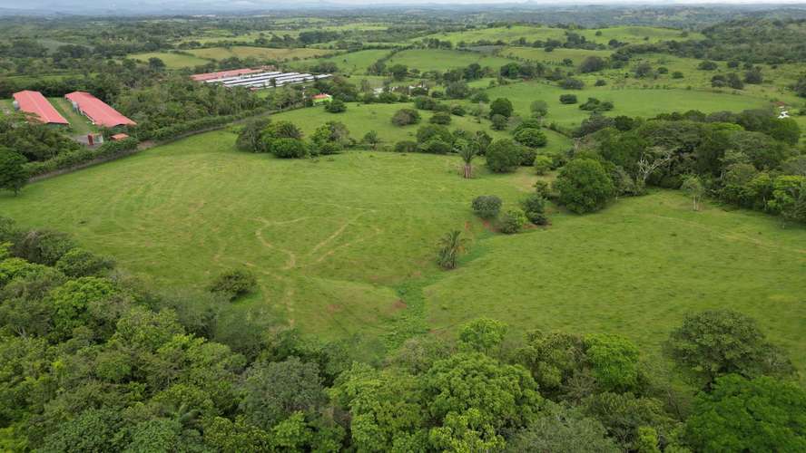 51 HECTÁREAS DE TERRENO! $3,571,715 - Imagen 17