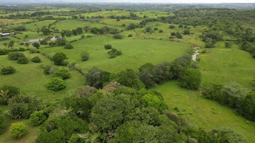 51 HECTÁREAS DE TERRENO! $3,571,715 - Imagen 10