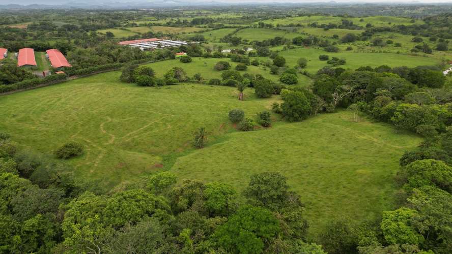 51 HECTÁREAS DE TERRENO! $3,571,715 - Imagen 11