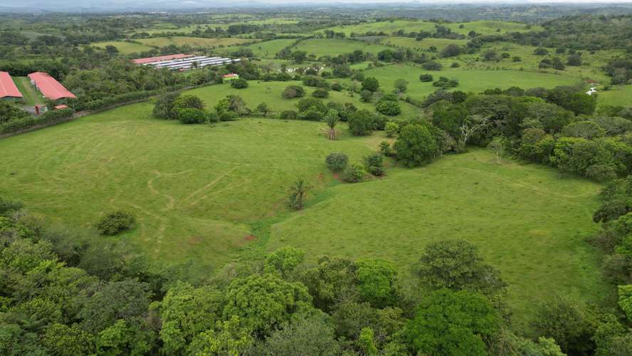 51 HECTÁREAS DE TERRENO! $3,571,715 - Imagen 12