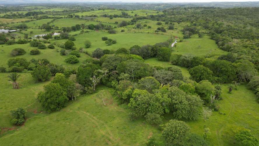 51 HECTÁREAS DE TERRENO! $3,571,715 - Imagen 15