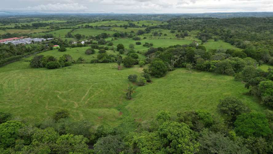 51 HECTÁREAS DE TERRENO! $3,571,715 - Imagen 13