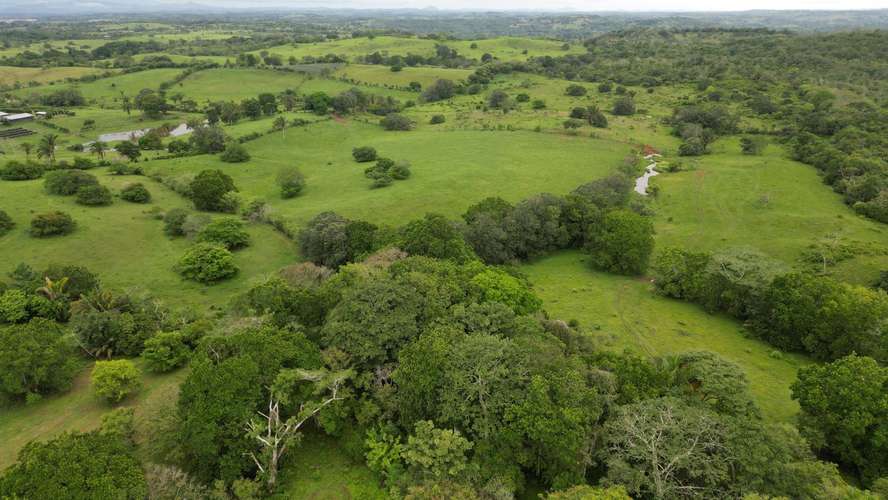 51 HECTÁREAS DE TERRENO! $3,571,715 - Imagen 9