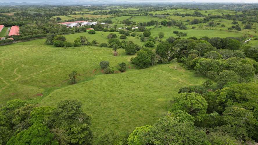 51 HECTÁREAS DE TERRENO! $3,571,715 - Imagen 4