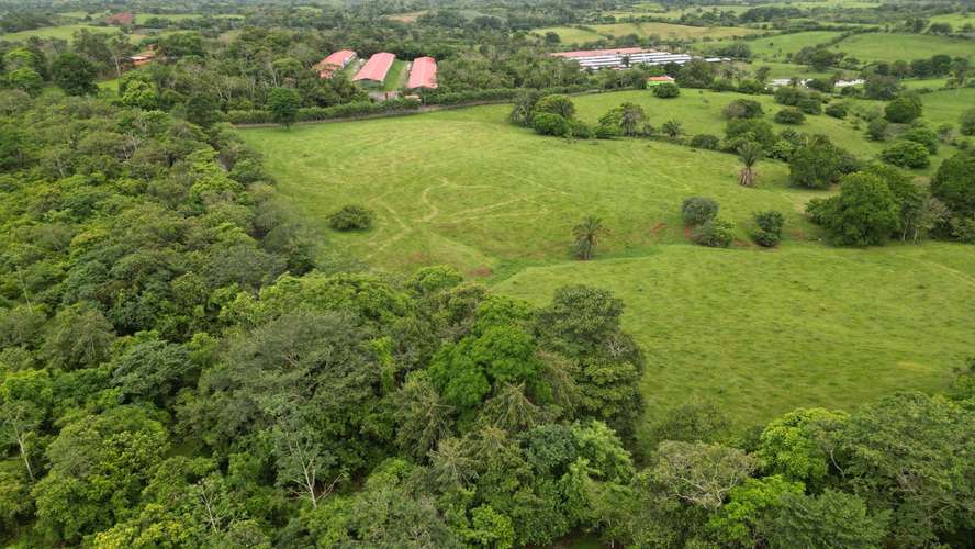 51 HECTÁREAS DE TERRENO! $3,571,715 - Imagen 6