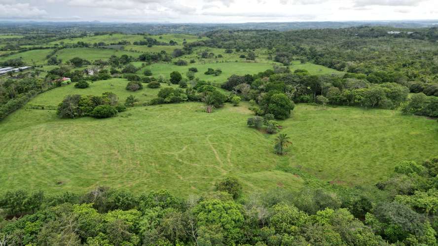 51 HECTÁREAS DE TERRENO! $3,571,715 - Imagen 14