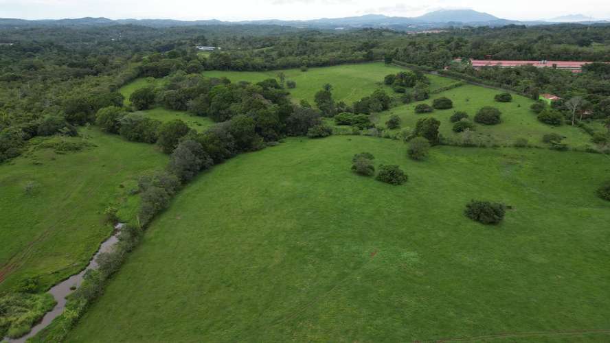 51 HECTÁREAS DE TERRENO! $3,571,715 - Imagen 20