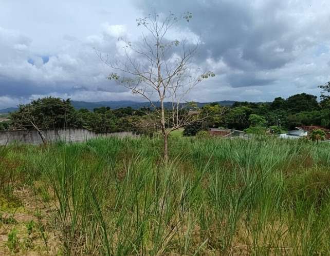 TERRENO EN VENTA | CLUB DE GOLF DE PANAMÁ - Imagen 2
