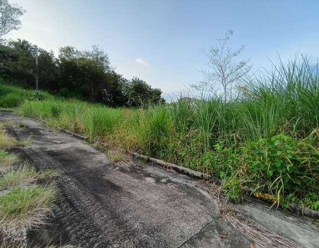 TERRENO EN VENTA | CLUB DE GOLF DE PANAMÁ - Imagen 6
