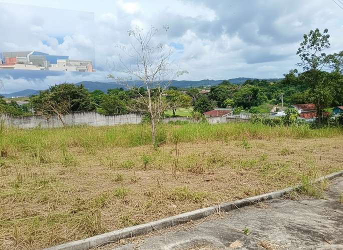 TERRENO EN VENTA | CLUB DE GOLF DE PANAMÁ - Imagen 5