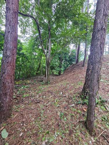 Terreno en Venta en Altos del María 129,000 - Imagen 5