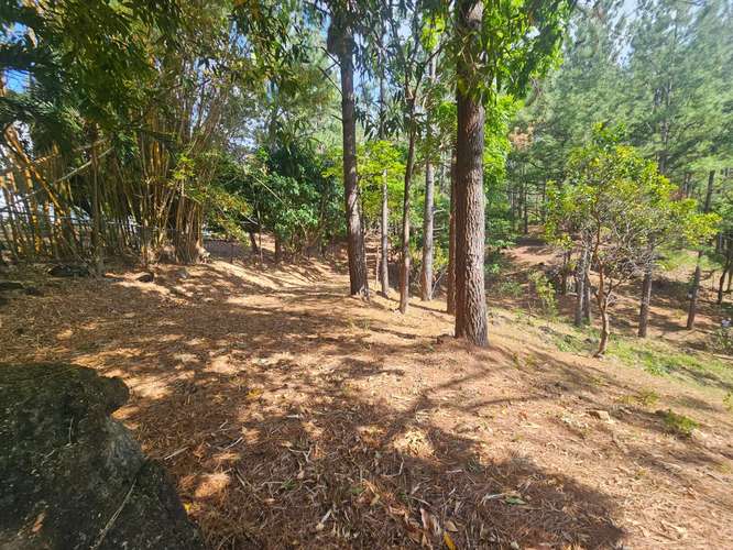 Terreno en Venta en Altos del María 129,000 - Imagen 7