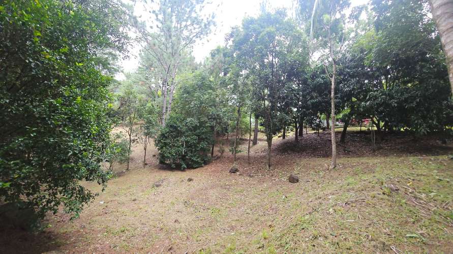 Terreno en Venta en Altos del María 129,000 - Imagen 6