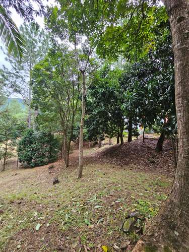 Terreno en Venta en Altos del María 129,000 - Imagen 4