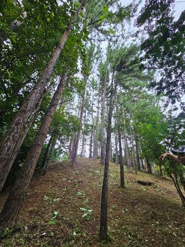 Terreno en Venta en Altos del María 129,000 - Imagen 15