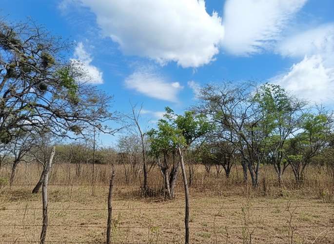 TERRENO EN VENTA | RÍO HATO, COCLÉ - Imagen 2