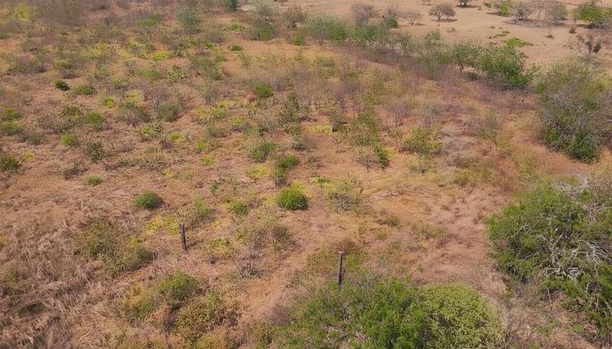 TERRENO EN VENTA | RÍO HATO, COCLÉ - Imagen 4