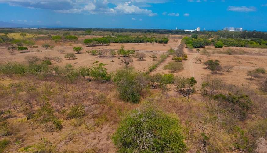 TERRENO EN VENTA | RÍO HATO, COCLÉ - Imagen 6