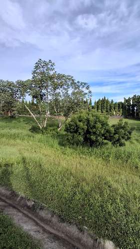 Quebradas de Cabuya. Terreno 1232mts titulado seguridad $45,000.00neg - Imagen 13