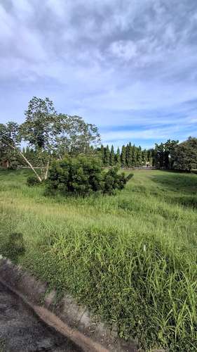 Quebradas de Cabuya. Terreno 1232mts titulado seguridad $45,000.00neg - Imagen 14