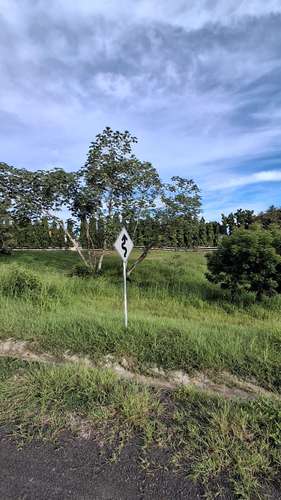 Quebradas de Cabuya. Terreno 1232mts titulado seguridad $45,000.00neg - Imagen 8