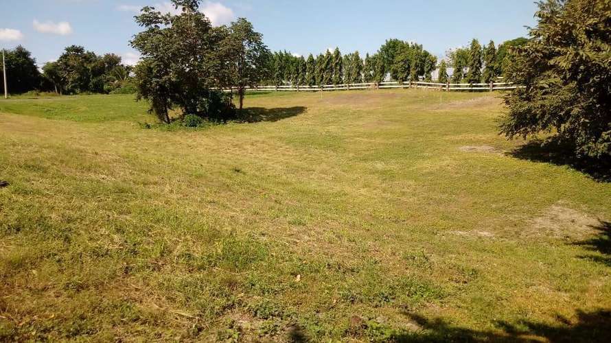 Quebradas de Cabuya. Terreno 1232mts titulado seguridad $45,000.00neg - Imagen 2