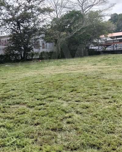 Terreno de 3400 m² en alquiler en Vista Alegre, Arraiján - Imagen 3