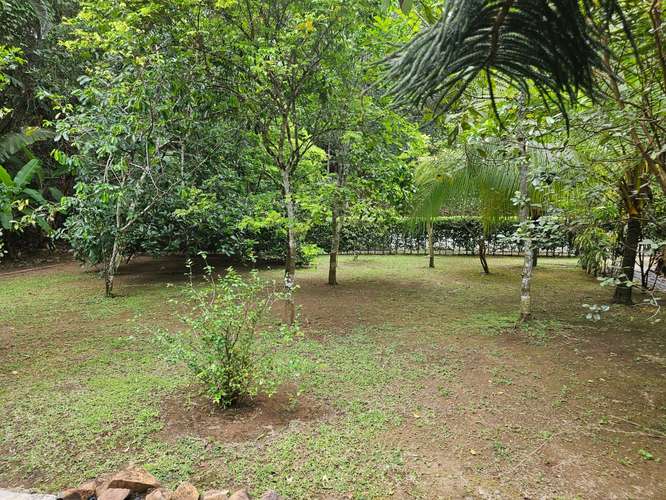 TERRENO EN VENTA EN ÁREAS REVERTIDAS DEL CANAL DE PANAMÁ | 1,221.81 m² | $496,232 - Imagen 3